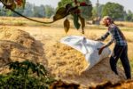 نقشه ها پتانسیل Biochar را برای کاهش تغییرات آب و هوا نشان می دهد