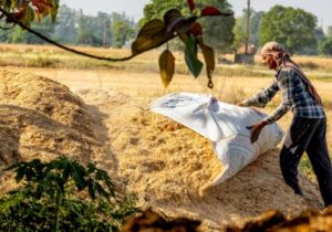 نقشه ها پتانسیل Biochar را برای کاهش تغییرات آب و هوا نشان می دهد