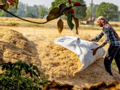 نقشه ها پتانسیل Biochar را برای کاهش تغییرات آب و هوا نشان می دهد