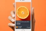Lose It! با ارائه Snap It به کاربران امکان شمارش کالری در عکس غذا را می‌دهد