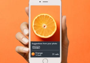 Lose It! با ارائه Snap It به کاربران امکان شمارش کالری در عکس غذا را می‌دهد