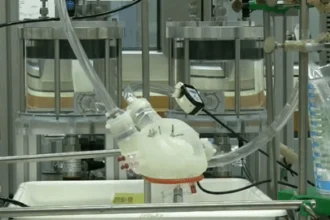 3D printed soft artificial heart