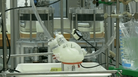 3D printed soft artificial heart