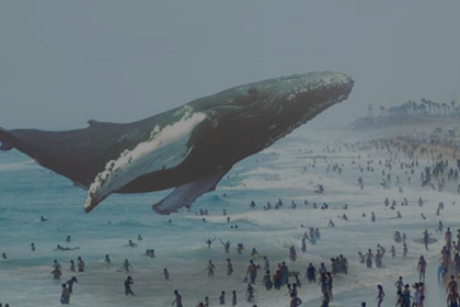 وب‌سایت جدید Magic Leap دارای تعدادی تخم‌مرغ عید پاک است که کاربران Reddit در تلاش برای رمزگشایی آنها هستند.
