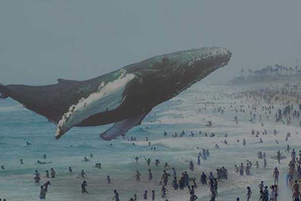 وب‌سایت جدید Magic Leap دارای تعدادی تخم‌مرغ عید پاک است که کاربران Reddit در تلاش برای رمزگشایی آنها هستند.