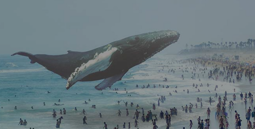 وب‌سایت جدید Magic Leap دارای تعدادی تخم‌مرغ عید پاک است که کاربران Reddit در تلاش برای رمزگشایی آنها هستند.